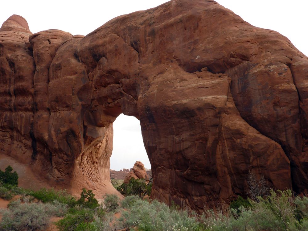 Arches NP Pine tree Arch (5).JPG